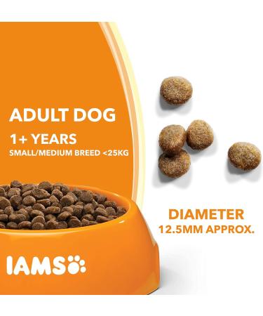 IAMS Complete Dry Dog Food for Adult 1+ Small and Medium Breeds with Chicken 12 kg Chicken 12 kg (Pack of 1) - Buy Online on SooperMarket.com