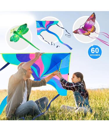 Crogift 3 Pack Large Kites - Butterfly Delta Dragonfly - Easy to Fly for Adults and Kids - Outdoor Game Activities - Easter and Festival Gifts - Buy Online on SooperMarket.com