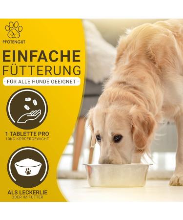 Pfotengut Vitamin B Complex for Dogs & Cats - 120 Tablets Made in Germany High-Dose B Vitamins for Optimal Health - Supports Energy & Vitality - Buy Online on SooperMarket.com