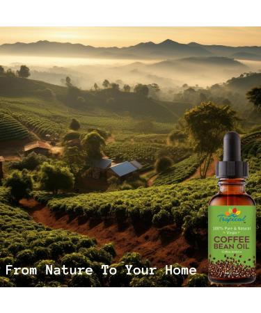 100% Pure Roasted Coffee Bean Oil - Virgin Cold Pressed Unrefined for Massage Soap Making Hair Skin & Nails | 2 fl oz - International Shipping - Buy Online on SooperMarket.com