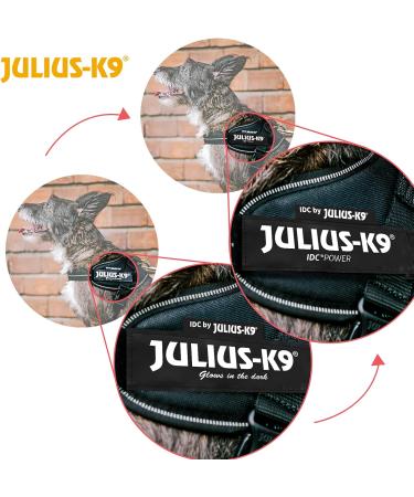 Buy IDC Powerharness 2XS/Baby 2 | Ideal for Small Dogs | Ameri-Canis - International Shipping Available - Buy Online on SooperMarket.com