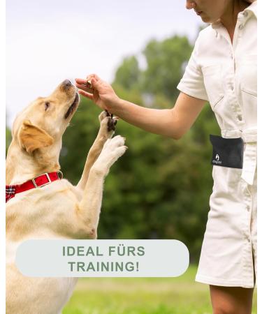 Dogster Treat for Dogs - Convenient Snack Bag with Carabiner | Quick Rewards for Your Pup - DOG01 - Buy Online on SooperMarket.com