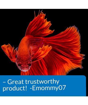 API Betta Fish Food 1.7 oz - Multi-Colored Pellets for Vibrant Bettas - Buy Online on SooperMarket.com