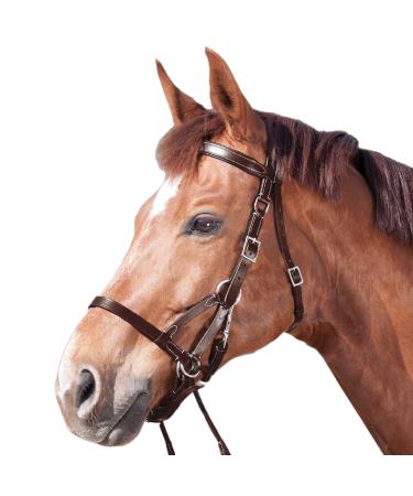WALDHAUSEN Star Bridle Bitless Two Brown Warmblood
