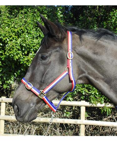 Rhinegold nylon halter coldblood / warmblood extra large red / white / blue