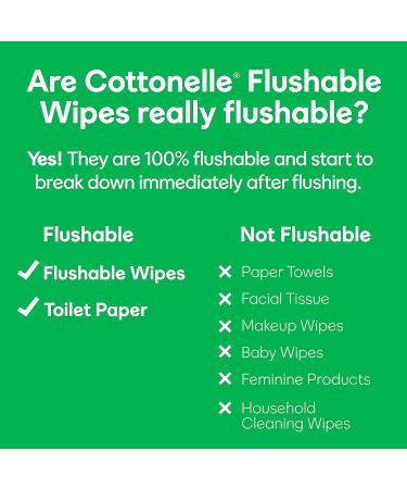 Cottonelle GentlePlus Flushable Wet Wipes with Aloe & Vitamin E - 252 Total Wipes, 6 Packs Adult Wet Wipes - Buy Online on SooperMarket.com