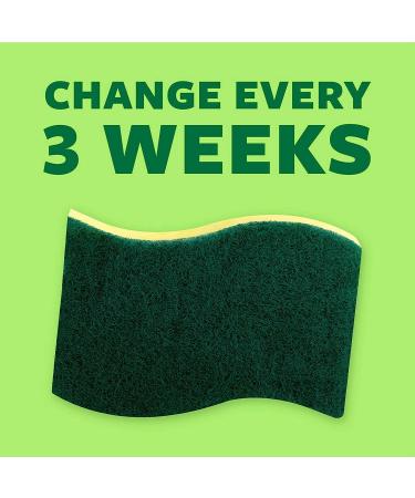 Scotch-Brite Heavy Duty Scrub Sponges - 24 Pack for Washing Dishes and Cleaning Kitchen - Buy Online on SooperMarket.com