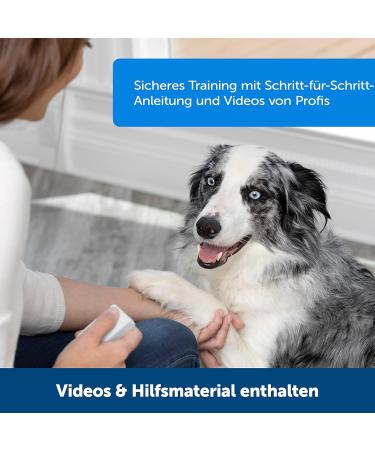 PetSafe Teach & Treat Remote Dog Trainer | Positive Reinforcement & Rewards | International Shipping Available - Buy Online on SooperMarket.com