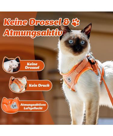 Supet Cat Dishes & Soft Vest Set for Cats & Small Dogs - Adjustable Leash Breakfast Collection Medium (33-38 cm) - Orange - Buy Online on SooperMarket.com