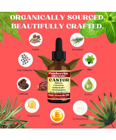 Organic Castor Oil Scalp Treatment - Rosemary Biotin & Mint for Hair Growth & Strength - 4 fl oz | Nourish & Reduce Hair Loss - Buy Online on SooperMarket.com