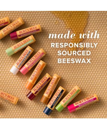 Burt's Bees Coconut & Pear and Mango Lip Balm - 100% Natural, Moisturizing with Beeswax & Fruit Extracts - 2 Tubes 2 Fl OZ & 0.15 Ounce (Pack of 2) - Buy Online on SooperMarket.com