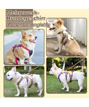 Buy Multi-Purpose Dog Harness with Leash Set - Outbreak-Proof & Anti-Train for Small to Medium Dogs (Beige M) - International Shipping Available - Buy Online on SooperMarket.com
