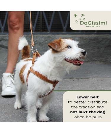Dogissimi Leather Dog Harness | Adjustable Ergonomic Dog Harness for Small & Medium Dogs | Handmade in Italy | Military Style (M) 41-51 cm - Buy Online on SooperMarket.com