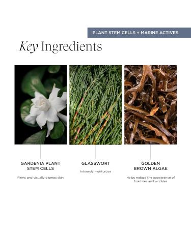 Buy Re:generative Rich Cream Moisturizer Vegan Hydration & Tone Evening | Intelli-Cell Science 1.7 Oz - International Shipping Available - Buy Online on SooperMarket.com