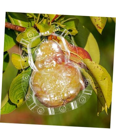 ORFOFE 2pcs Shaped Growth Fruit Buddha Baby Shaper Small Watermelon Accessories - Buy Online on SooperMarket.com