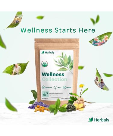 Organic Herbal Ginger Tea 70g - Herbaly Wellness Collection - 28 Count Bag - Buy Online on SooperMarket.com