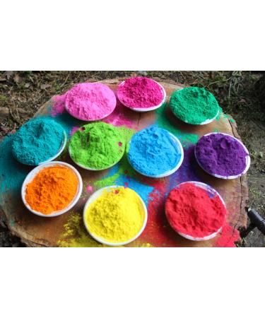 CraZeeColors Holi color powder 10 bright vibrant Colors 1 pound bag each for Holi festival  Color throw  Summer Camp  Chalk toss  Gender reveal