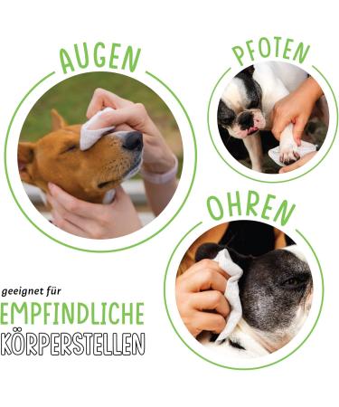 FIRSTPAW XXL Nursing Towels for Dogs - 100 Biodegradable Hypoallergenic Cleaning Cloths with Aloe Vera - Perfect for Eyes Ears & Paws - Buy Online on SooperMarket.com