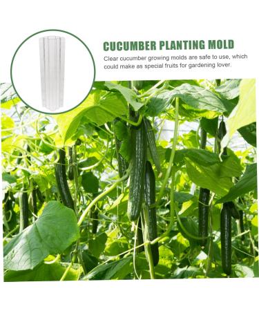 Toddmomy 2pcs Vegetable Shaping Clear Fruit Vegetable Maker Cucumber Shaper Square - Buy Online on SooperMarket.com