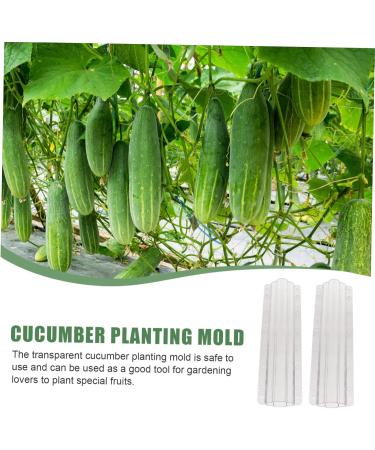 Balacoo 4 Pcs Vegetable Shaping Mold Cucumber Growing Molds Garden Fruit Mold Plastic Hearts Quincunx Suite - Buy Online on SooperMarket.com