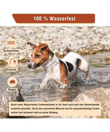Animal Vita Tick Collar for Small Dogs | 100% Natural | 8 Months Tick Protection - Shop Now! - Buy Online on SooperMarket.com