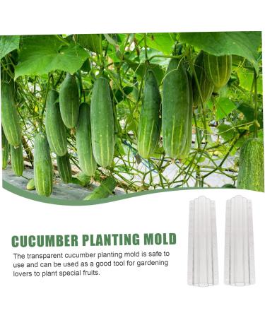 Toddmomy Garden Fruit Mould 4 Pcs Vegetable Shaping Mold Vegetables Vegetable Shaper Mold Cucumber Growth Molds Accessories - Buy Online on SooperMarket.com