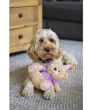Rosewood Chubblez Bonnie Birthday Bear Plush Dog Toy - Perfect Gift for Dogs - Buy Online on SooperMarket.com