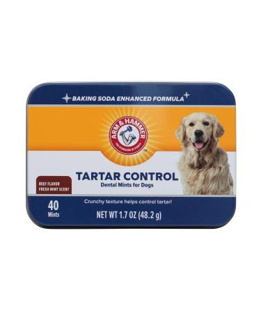 Arm & Hammer Tartar Control Dental Mints For Dogs Fresh Mint Scent Beef 40 Mints