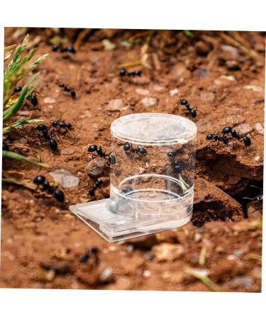 Toddmomy Pet Water Feeder Ant Water Drinking Cup Ant Watering Cup Ants Waterer Ant Feed Bowl to Feed Animal - Buy Online on SooperMarket.com