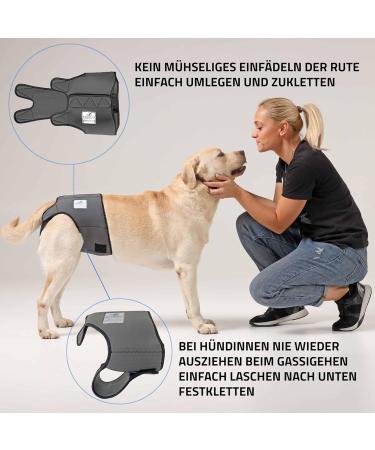 Nature PET Dog Diaper Pants for Female Dogs - Gray M - Incontinence Solution without Annoying Threading - Buy Online on SooperMarket.com