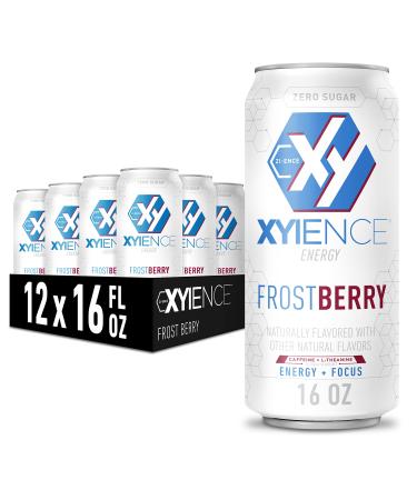 XYIENCE Energy Drink | Frost Berry Blast | Sugar Free | Zero Calories | Natural Flavors | Vitamin Fortified | 16 Ounce (Pack of 12)