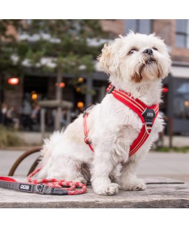 DOG Copenhagen Comfort Walk Air Harness - Size L, Black | Breathable and Durable - Buy Online on SooperMarket.com