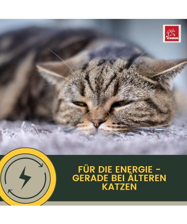 Emma Cat Vitamins 100ml | High Dose B Complex & Essential Nutrients for Immune Support | Vitamins A B12 D E Iron Zinc Selenium & L-Lysine - Buy Online on SooperMarket.com