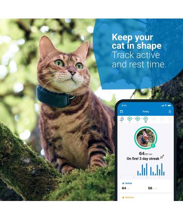 Tractive Waterproof GPS Cat Tracker - Dark Blue | Unlimited Range & Activity Monitoring - Buy Online on SooperMarket.com