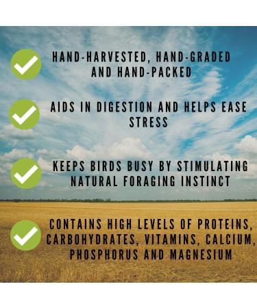 Nemeth Farms Spray Millet: GMO-Free Bird Treat & Supplement 1lb - No Stems, Only Edible Tops for Parakeets, Cockatiels, Lovebirds & Finches - Buy Online on SooperMarket.com