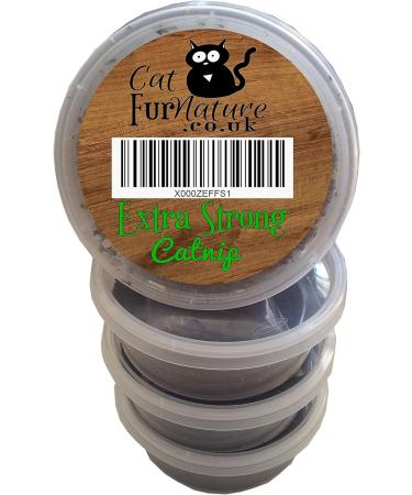 Cat Grass Kits x3 with Extra Strong Catnip - Cat FurNature - Buy Online on SooperMarket.com