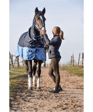 Buy RL24 Weiddecke Full Neck 600D Nylon Waterproof Winter Blanket for Horses - Blue/Baby Blue 145 cm (300g/m ) - Buy Online on SooperMarket.com
