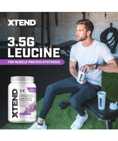 Scivation XTEND Original BCAA Powder - Sugar-Free Muscle Recovery with 7g BCAA 2.5g L-Glutamine - Glacial Grape 90 Servings Glacial Grape 90 Servings (Pack of 1) - Buy Online on SooperMarket.com