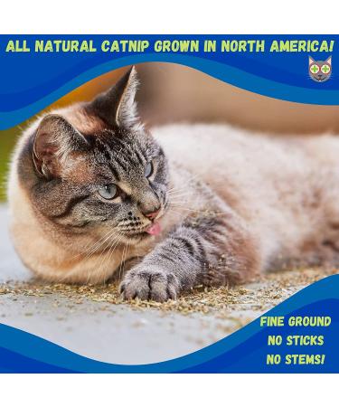 Smokey's Stash Catnip 12 Ounce Bag - Premium Ground Catnip for Cats - Buy Online on SooperMarket.com