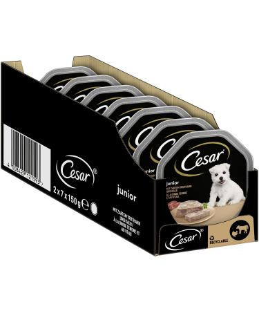 Cesar dog food wet food junior for puppies and young dogs 1 year with truthahn & calf in Pastete 14 bowls (14 x 150g) 2100 g junior truthahn & vegetables 2.1 kg (1 Pack)
