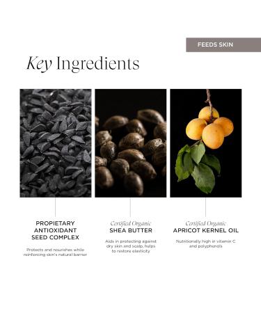 Intelligent Nutrients Seed Synergy Hydra-Lotion | Daily Vegan Moisturizer for All Skin Types | Instant Glow & Hydration | 1.7 oz - Buy Online on SooperMarket.com