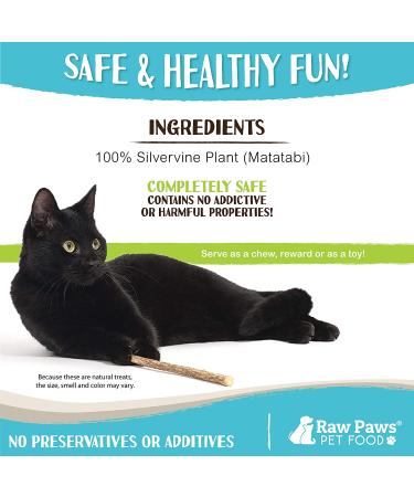 Raw Paws Silvervine Catnip Sticks 30-ct - Natural Matatabi Chew Toys for Indoor Cats - Silver Vine Kicker Toy - 30-pack - Buy Online on SooperMarket.com