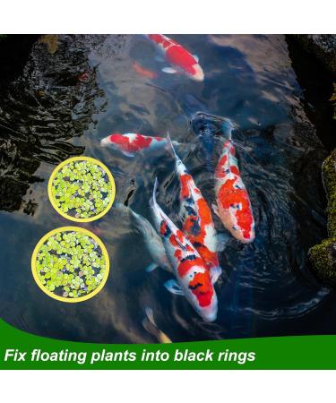 Peutier 5stk Floating Plant Rings for Aquariums - Round Planting Corrals in 5 Sizes - Yellow Fish Feeding Rings Hold Floating Plants in Place - Buy Online on SooperMarket.com