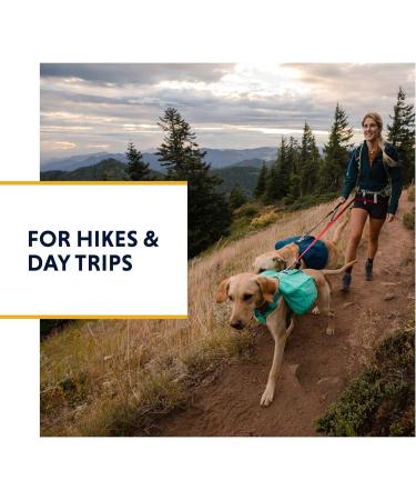 Luffwear Hundred Backpack for Large Dogs - Comfortable Saddlebag for Day Hikes | Front Range Day Pack in Aurora Teal Size L/XL - Buy Online on SooperMarket.com
