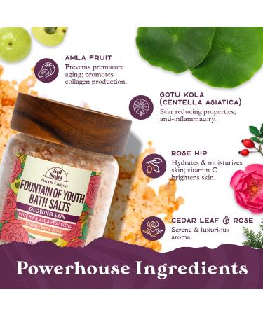PURPLE CANYON SolSalts Fountain of Youth Bath Salts | Lavender Rose & Cedar Detox Soak with Epsom Salt for Glowing Skin - International Shipping Available - Buy Online on SooperMarket.com