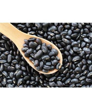 Organic Dry Beans Bundle - 5 LB Black Beans & 5 LB Pinto Beans | Non-GMO, Raw, Vegan, Kosher | Sproutable, Bulk Pack | High in Fiber & Protein | Ideal for Soups, Burritos, Tacos - Buy Online on SooperMarket.com