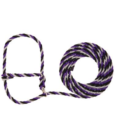 Weaver Leather Livestock Stierwalt Breaking Halter, Purple/Black/Gray, 8 1/2'