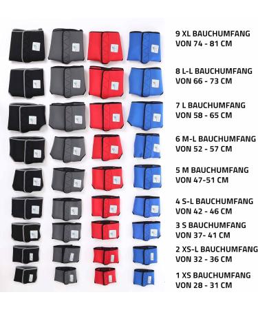 Functions for Bitches 2.0: High-Quality Neoprene Dog Diapers for Males (XS-L) - Optimal Air Exchange No Threading - Buy Online on SooperMarket.com