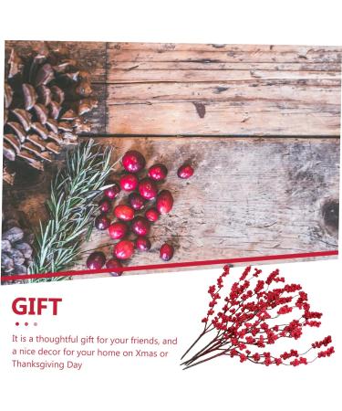 ABOOFAN 15 Pcs Simulation Red Berry Artificial Berries Stems Household Decor Home Decor Artifical Flower Arrangement Faux Berry Stems Plant Vase Fake Berry Stem Christmas Red Berries Iron - Buy Online on SooperMarket.com