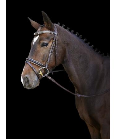 Shop Kerbl Covalliero Kingston Brown Bridle with Gold - Premium Cob Size for Equestrian Excellence | International Shipping Available - Buy Online on SooperMarket.com